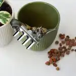 Eksperti ir atspēkojuši populāru mītu: akmeņi poda apakšā var nogalināt