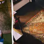 Kā “atsvaidzināt” netīru paklāju bez putekļu sūcēja 10 minūtēs: nav