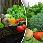 Kā nepazaudēt ražu: dārznieki brīdināja par stādīšanu no sēklām