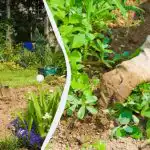 Tādā veidā dobju ravēšana ir 2 reizes vieglāka un ātrāka: