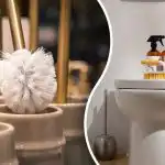 Tīra birste dažu minūšu laikā: vienkāršs mazgāšanas un dezinficēšanas veids